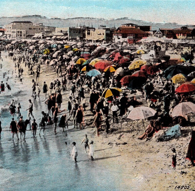 Postcard Surf Bathing Ocean Park California pc2707