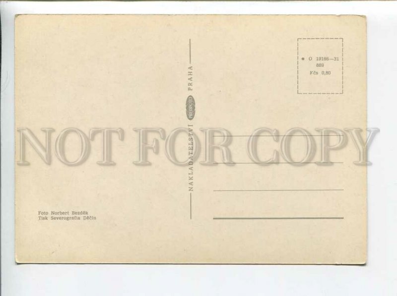 3179388 Cats old postcard