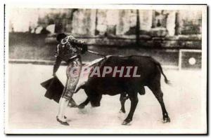 Modern Postcard Bullfight Bullfight