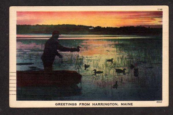 ME Greetings From HARRINGTON MAINE Postcard Duck Decoys Linen PC Hunting