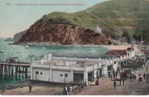 SANTA CATALINA, California, 00-10s ; Aquarium