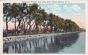 New York Geneva Memorial Willows And Lake Shore Drive