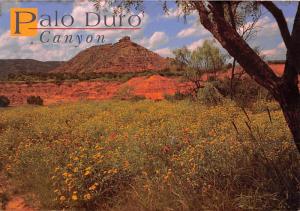 Palo Duro Canyon - Texas