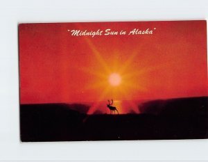 M-126086 Midnight Sun in Alaska