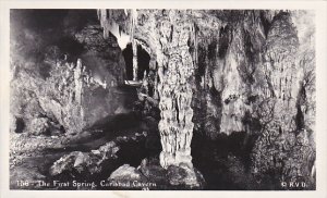 New Mexico Carlsbad Cavern The Spring Real Photo