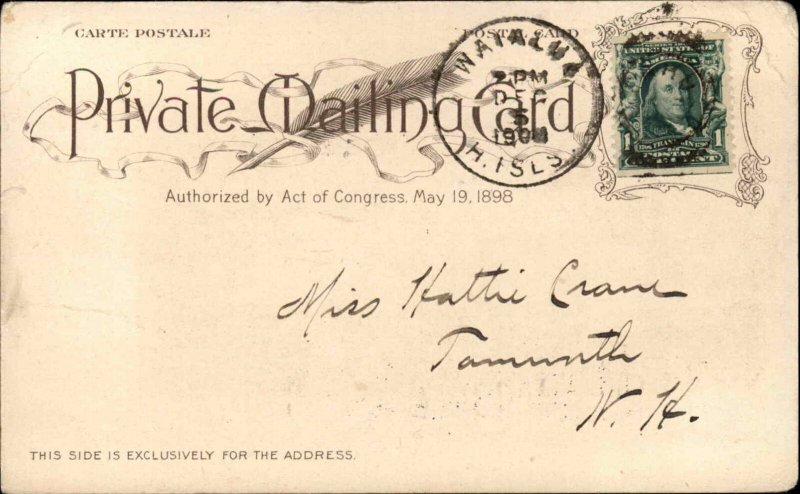 Hawaii HI Natives Grass House Private Mailing Card Waialua Cancel c1904