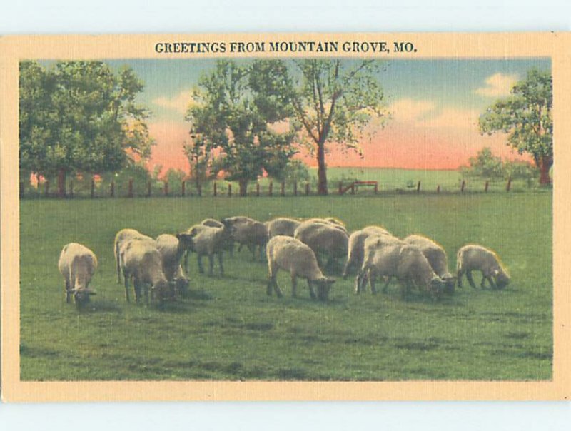 Linen ANIMALS GRAZING Mountain Grove Missouri MO AD4320