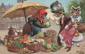 Arthur Thiel Artist Dressed Cats Driving A Hard Deal Shopping Postcard