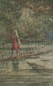 Africa Child Life Series A Native Bridge Crocodiles Old Postcard