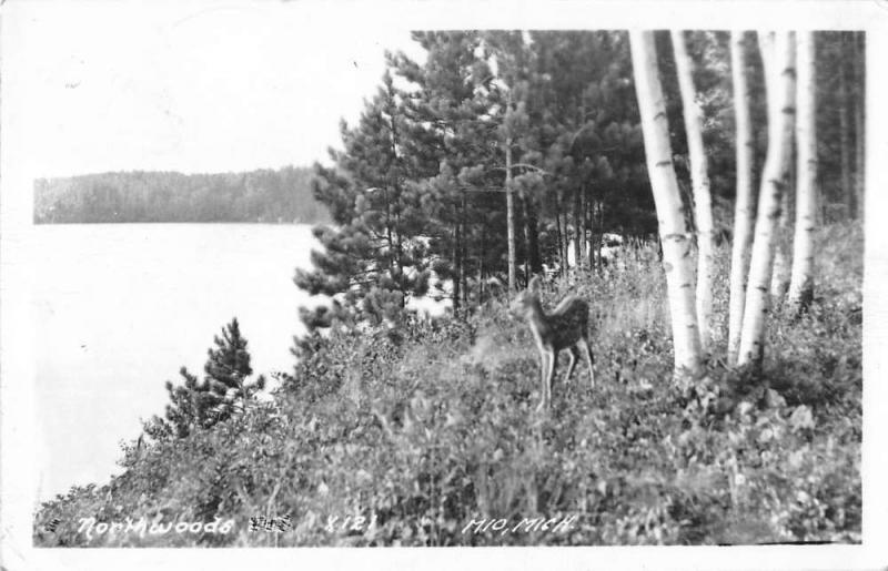 Mio Michigan Northwoods Deer Fawn Real Photo Antique Postcard K28860