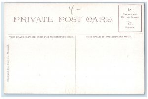 c1910 Bridge Over River Edmonton Alberta Canada Antique Unposted Postcard