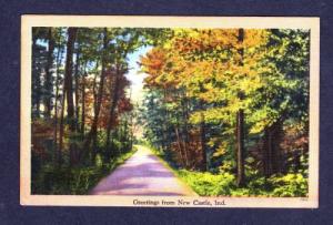 IN Greetings From NEW CASTLE INDIANA POSTCARD PC