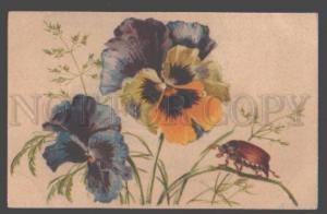 3097724 Huge PANSY w/ BEETLE by C. KLEIN vintage Litho PC