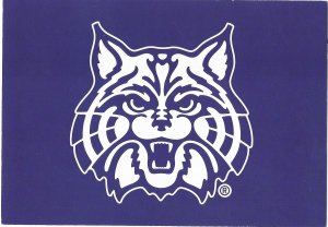Wilbur Wildcat Symbol and Mascot of University of Arizona  UA  Tucson 4 by 6
