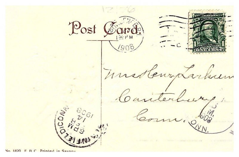 Valentine  Cupids flying , dove