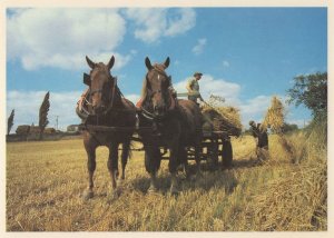 Loading The Sheaves Leavenheath Farm Suffolk Farming Postcard