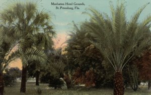 ST. PETERSBURG, Florida, 1900-10s; Manhatten Hotel Grounds, Palm Trees