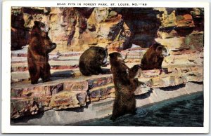 VINTAGE POSTCARD THE BEAR PITS AT FOREST PARK ST. LOUIS MISSOURI POSTED 1945