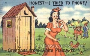 Greetings from White Plains NY USA Out House, Out Houses, Outhouse 1946 posta...