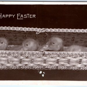 1907 Rotograph Happy Easter RPPC Cute Baby Ducks Ducklings Chick Real Photo A147