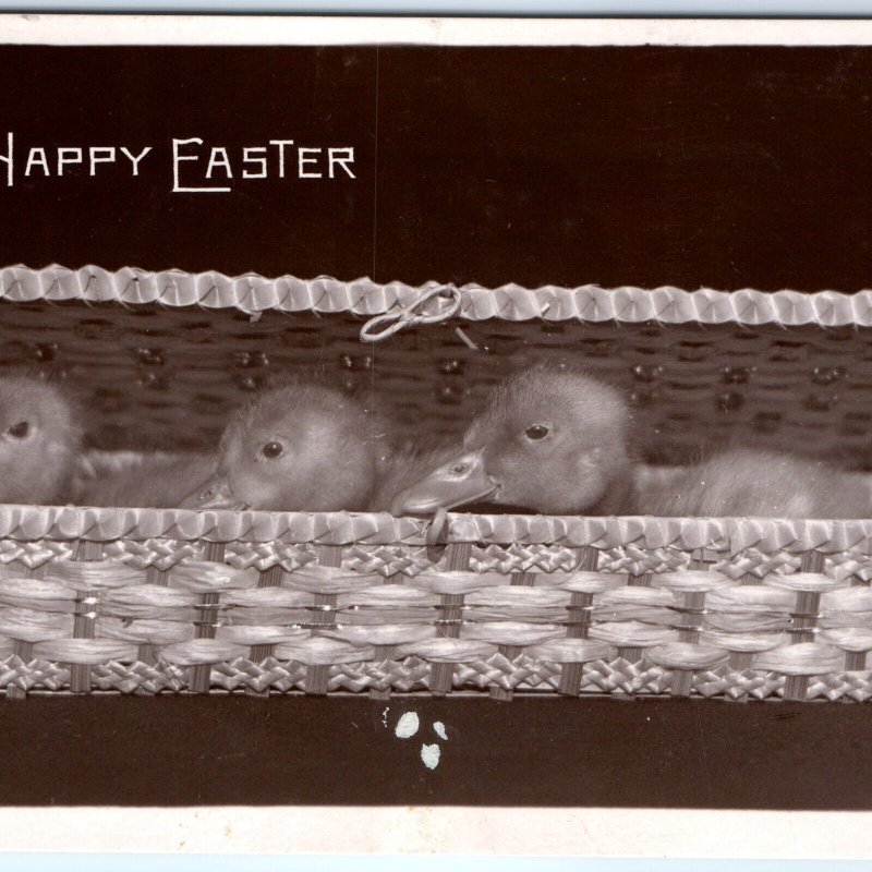 1907 Rotograph Happy Easter RPPC Cute Baby Ducks Ducklings Chick Real Photo A147