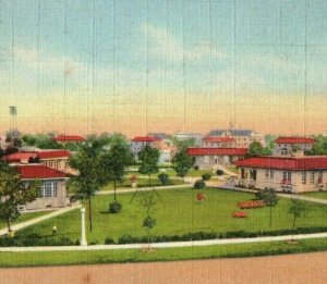 Vintage Pennsylvania Baby Village at Mooseheart, Ill Postcard P182