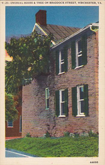 Unusual House & Tree On Braddock Street Winchester Virginia