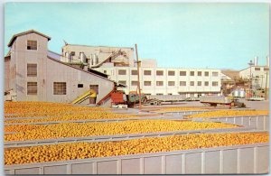 Postcard - Minute Maid Processing Plant - Florida