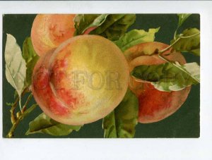 285530 C. KLEIN Sweet Peaches Vintage N&W S.648 postcard