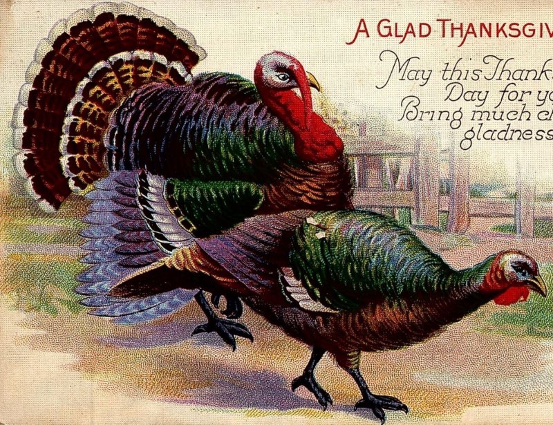 c1915 A GLAD THANKSGIVING TURKEY POEM FENCE FOOD PAY COLORFUL POSTCARD 34-75