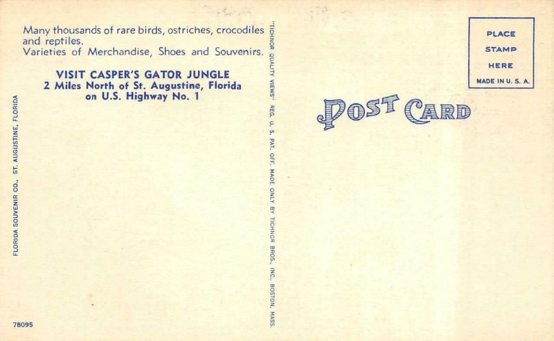 3~Postcards ST AUGUSTINE Florida FL ~CASPER'S ALLIGATOR JUNGLE Birds~Jaws~Babies
