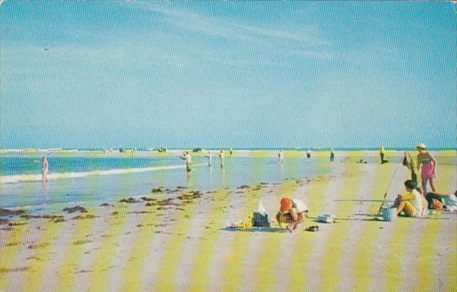 North Carolina Cape Hatteras Beach Scene Surf Fishing