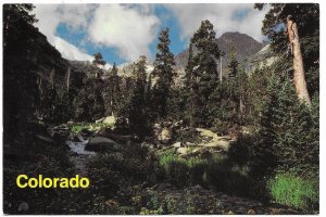 US Colorado Unused.  McHenry's Peak.   Beautiful.