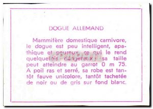 Image German Jogue Dog