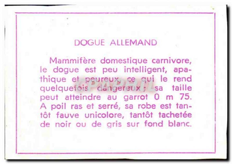 Image German Jogue Dog