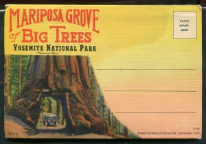 Mariposa Grove Big Trees Yosemite National Park linen postcard folder