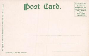 Delaware Water Gap, Mt. Tammany, PA, Early Postcard, Unused