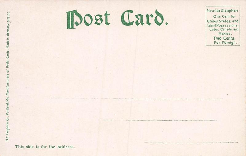 Delaware Water Gap, Mt. Tammany, PA, Early Postcard, Unused