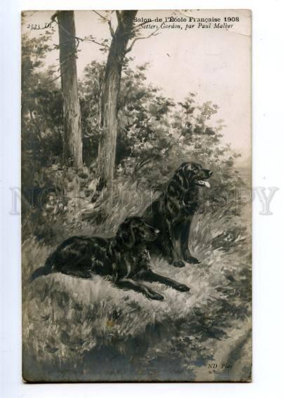 146562 HUNT Gordon Setter Dogs by MALHER Vintage SALON PC