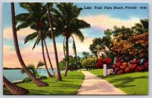 Palm Beach Florida~View @ Lake Trail~Tichnor~D&M Records Co~Vintage Linen PC