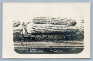 EXAGGERATED CORN KANSAS RAILROAD CAR ANTIQUE REAL PHOTO POSTCARD RPPC railway