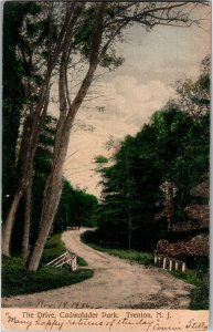 The Drive, Cadwalader Park Trenton NJ c1906 Vintage Postcard V08