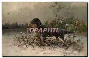 Postcard Old Fox Hunting Dog