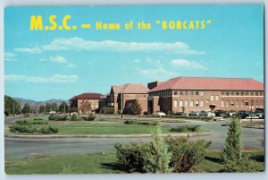 Bozeman Montana Postcard Montana State College Campus Home Bobcats c1960 Vintage