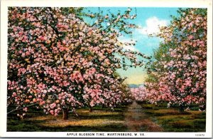 Apple Blossom Time in MArtinsburg WV Vintage Postcard O55