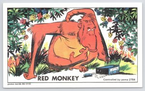 Poma Cards~Red Monkey~Gorilla Looks at Radio~Linen Postcard