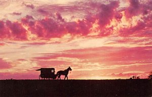 Amish Country Sunset Buggy, Horse - Amish Country, Pennsylvania PA  