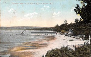 General View of the Shore Sylvan Beach, New York