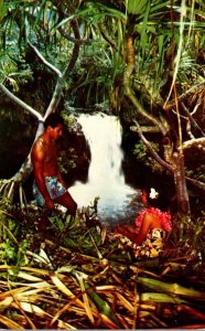 Hawaii Maui Waterfalls At The Sacred Seven Polls Of Kipahula