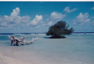 Micronesia Pohnpei Scene Along Seashore